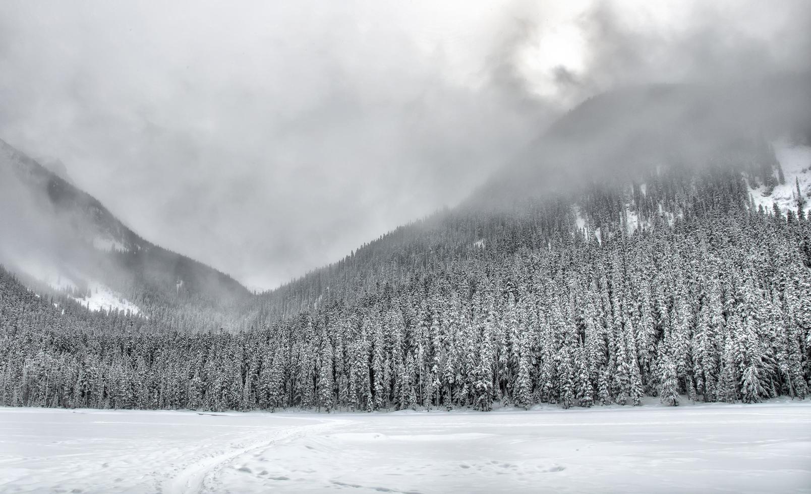 Snowy tree covered mountains  photo