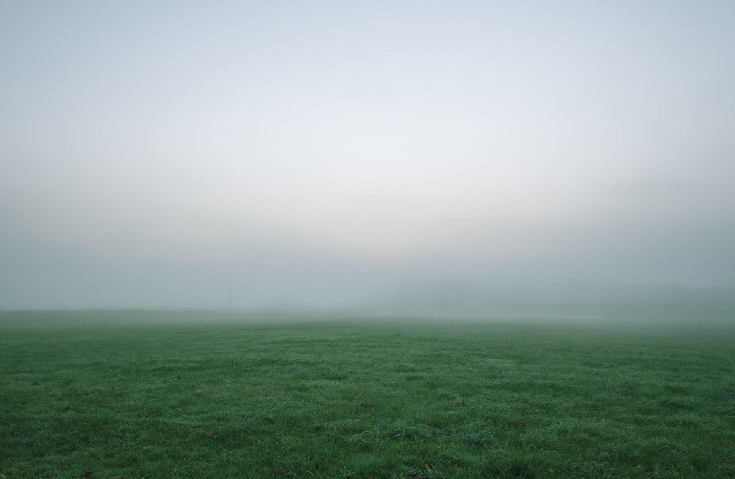 Foggy green grassy field photo