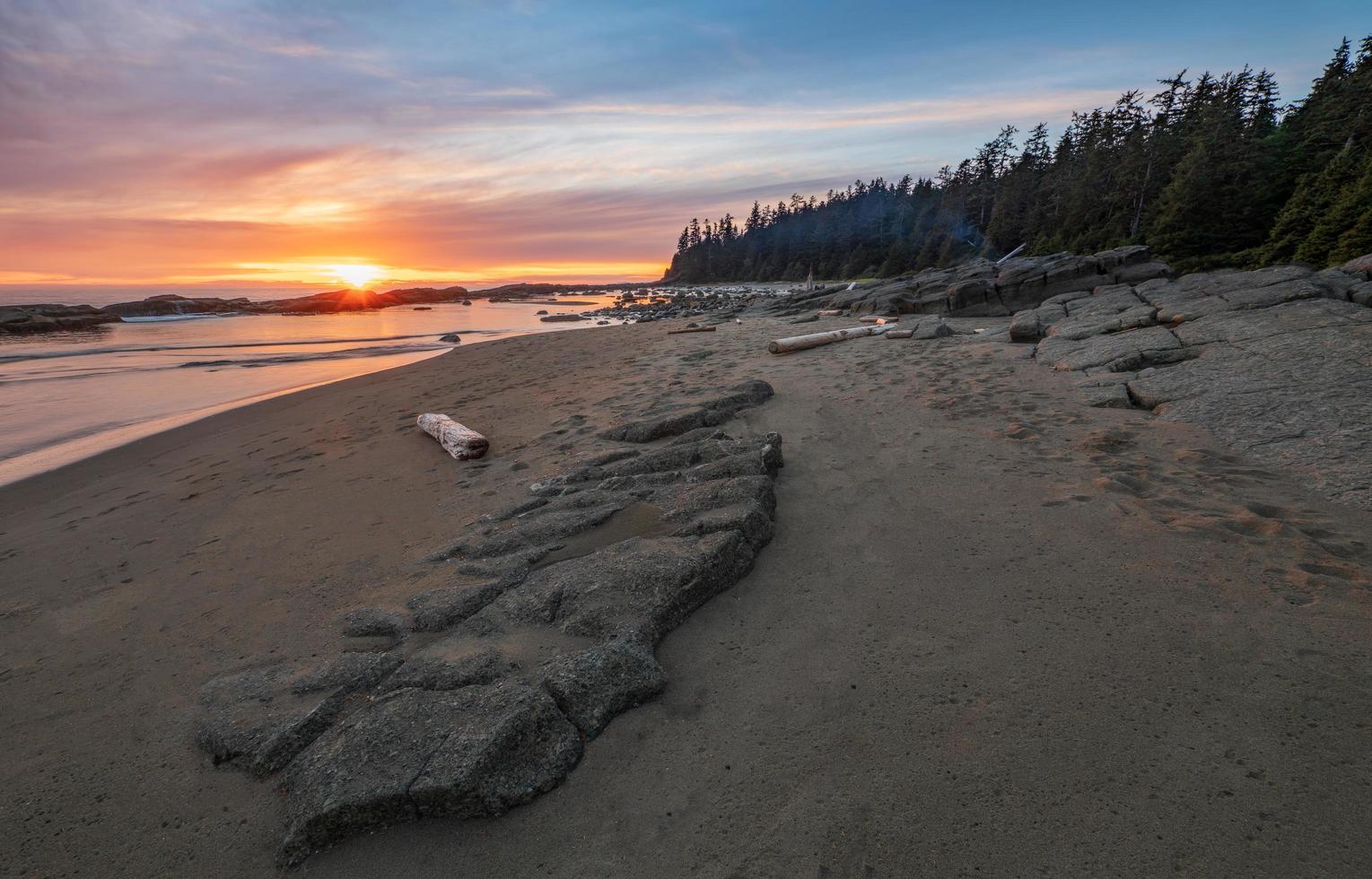 Beach with driftwood at sunset photo