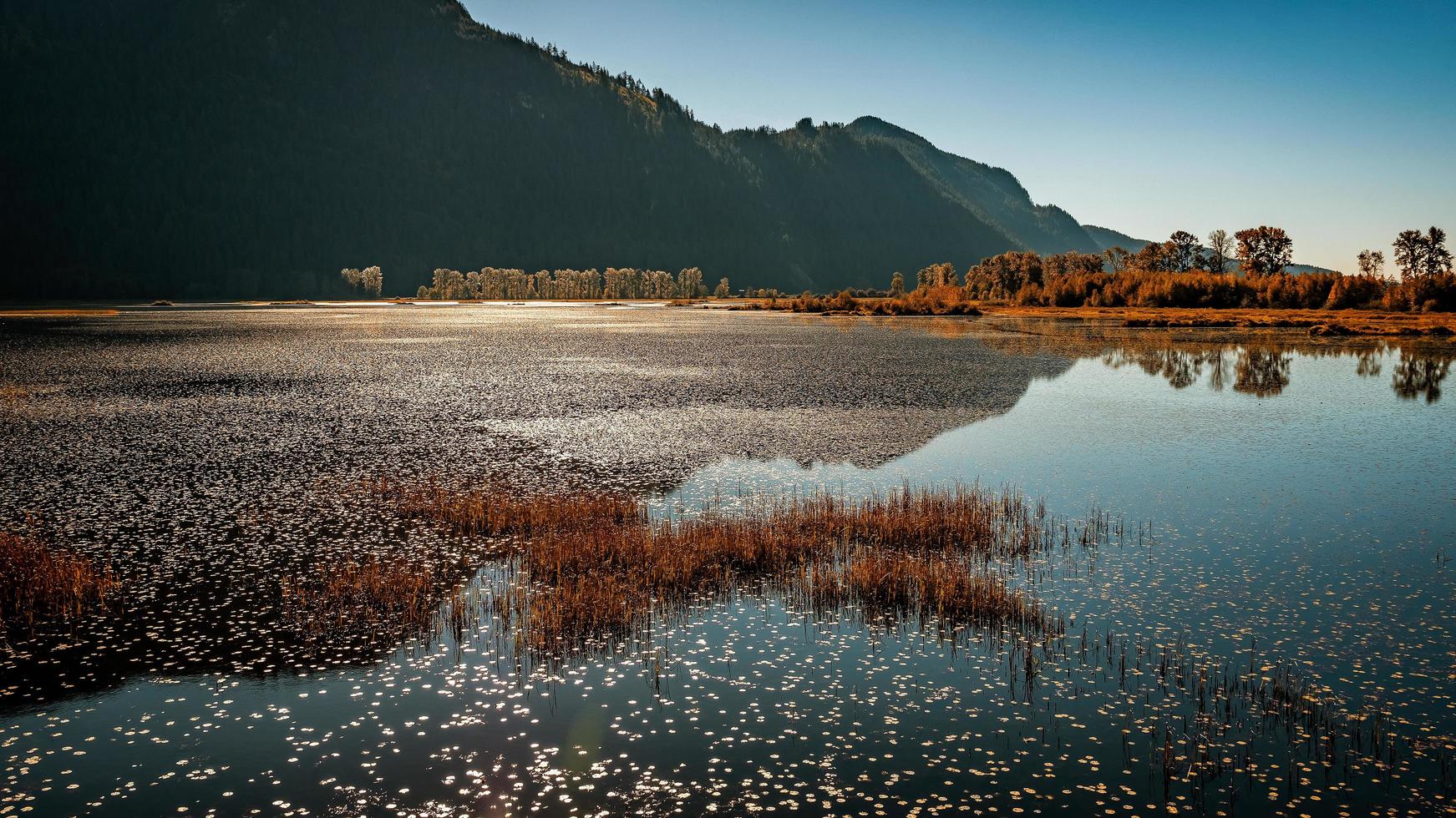 Calm body of water near mountain photo