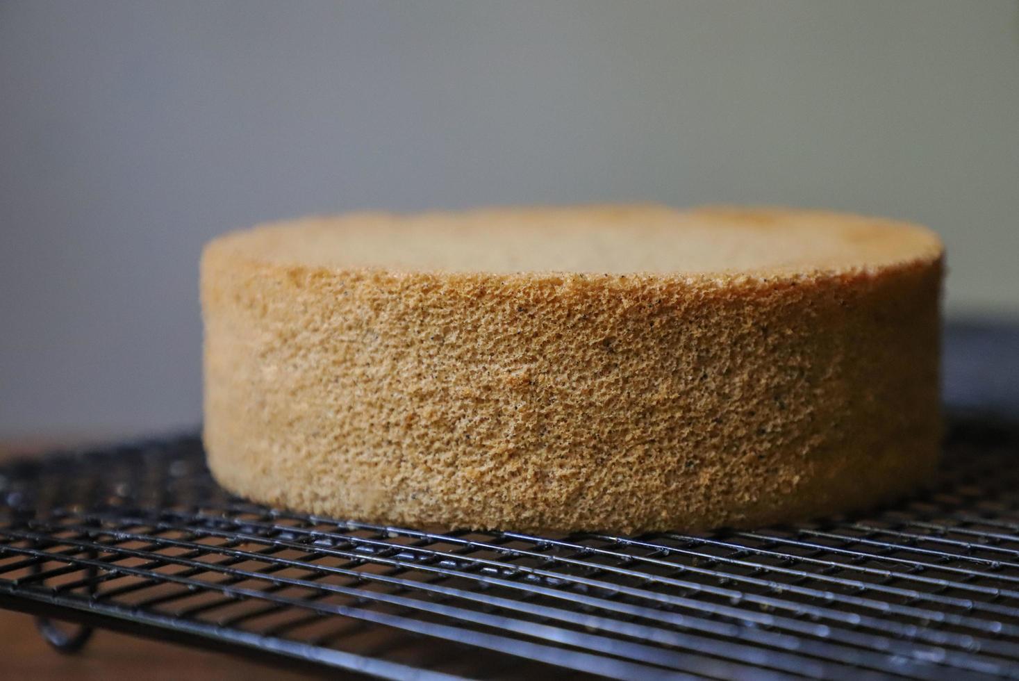 Close-up of cake sponge on cooling rack photo