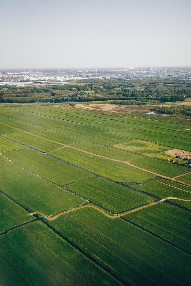 Green farm fields photo
