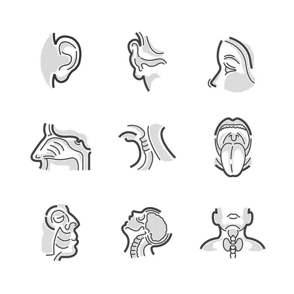 Set of Icons for Otolaryngology vector