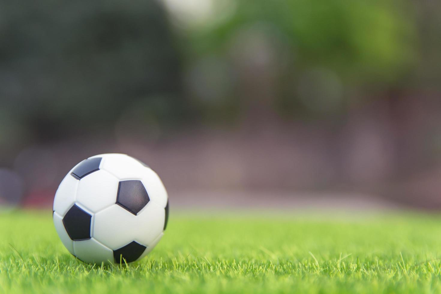 Soccer ball on green field photo