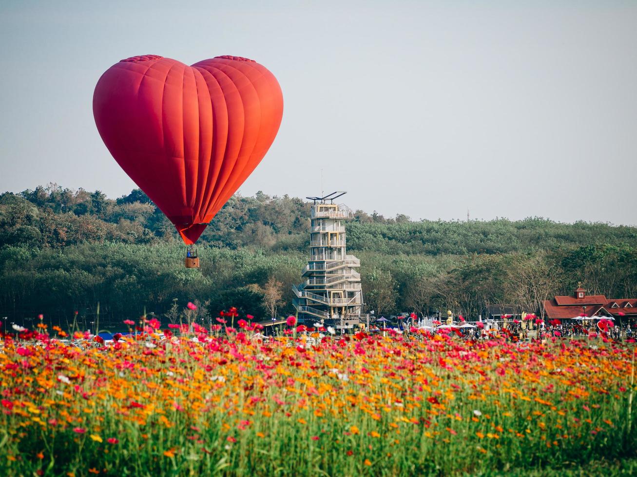 globo rojo en forma de corazón sobre campo de flores foto