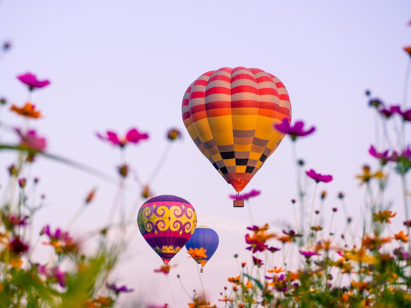 coloridos globos aerostáticos volando sobre un campo de flores foto