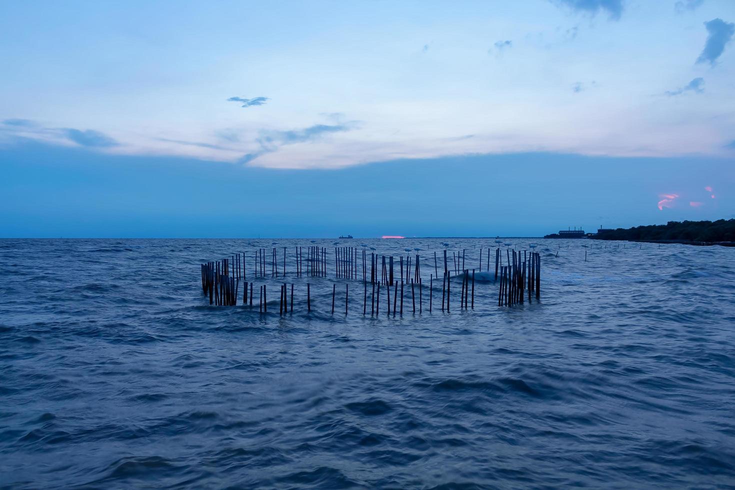 Heart shaped bamboo in the sea in Samut Prakan, Thailand photo