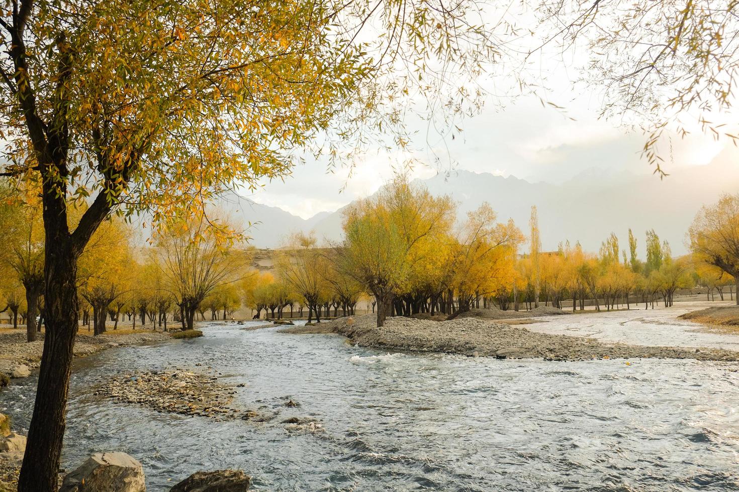 River flowing through colorful foliage grove in autumn photo