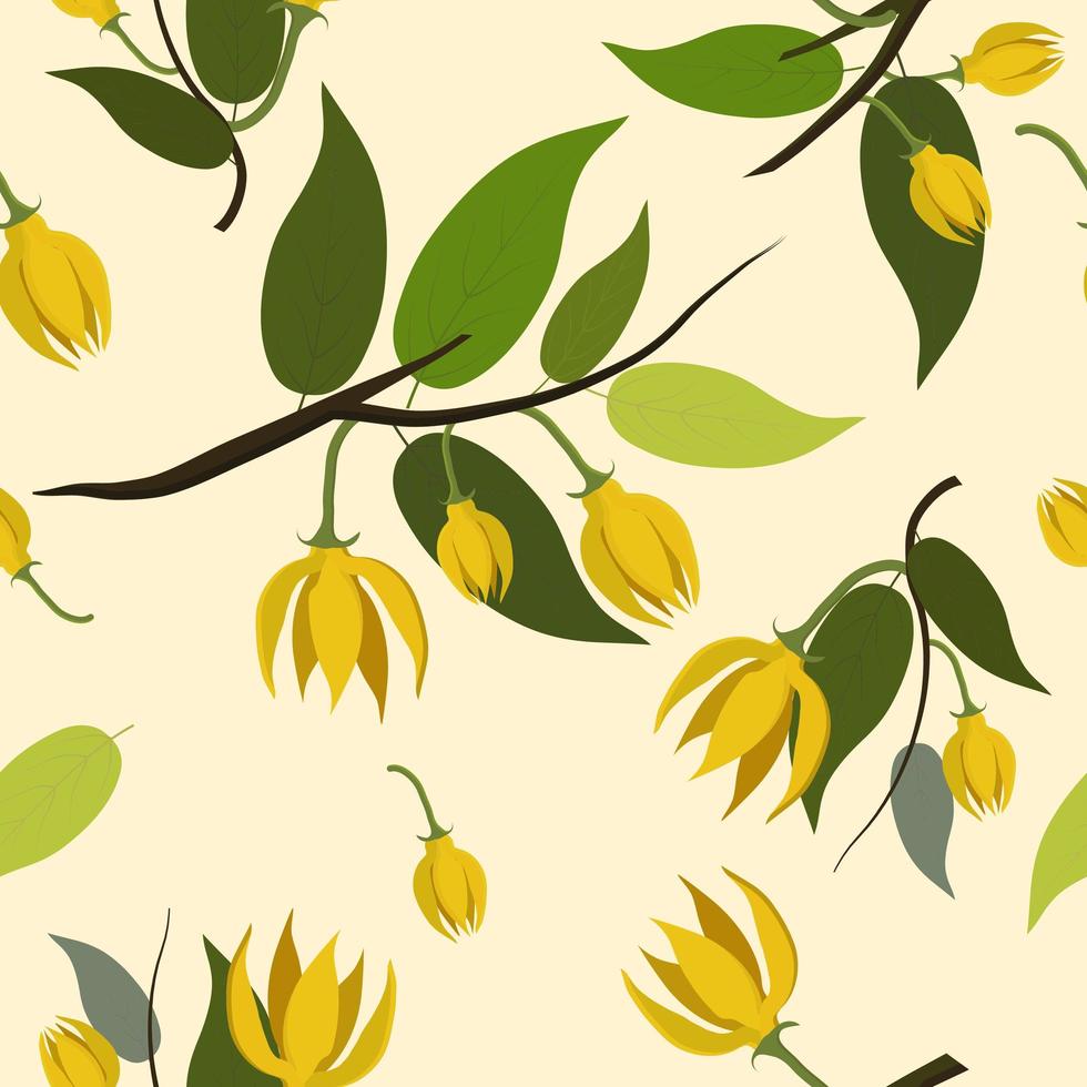 Yellow ylang-ylang flowers pattern  vector