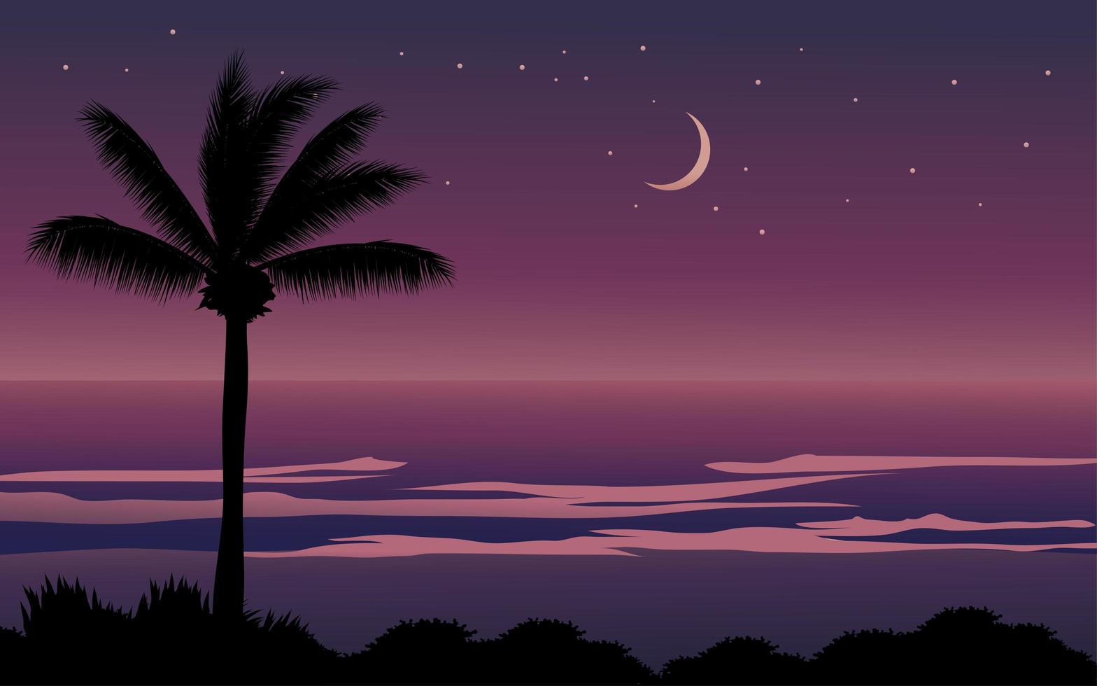 Tropical Beach Night Time vector