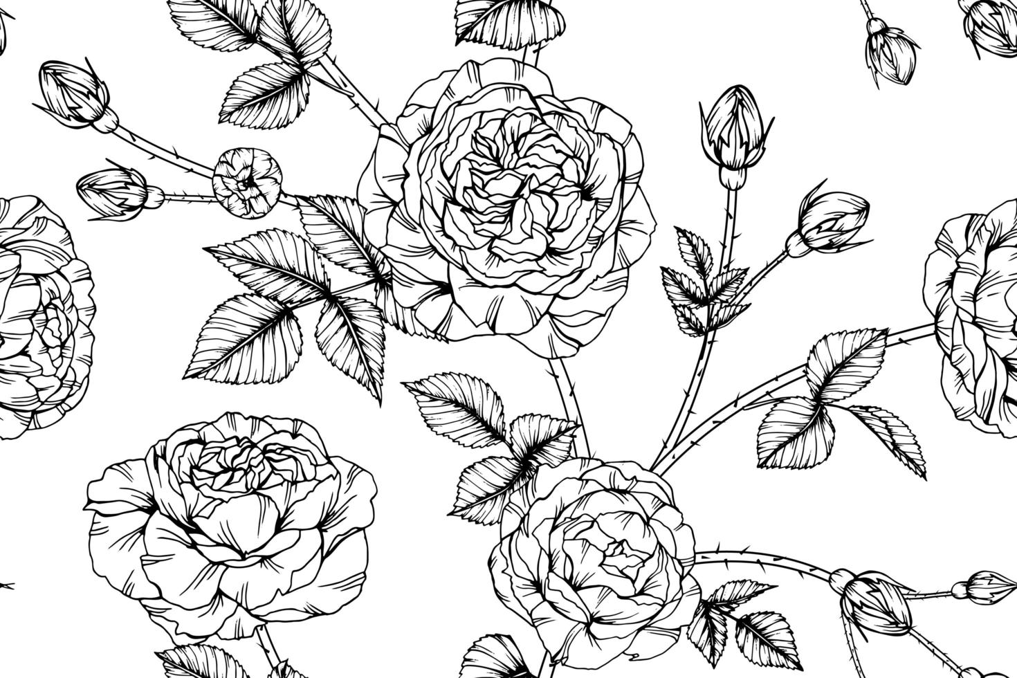 Hand drawn roses seamless pattern vector