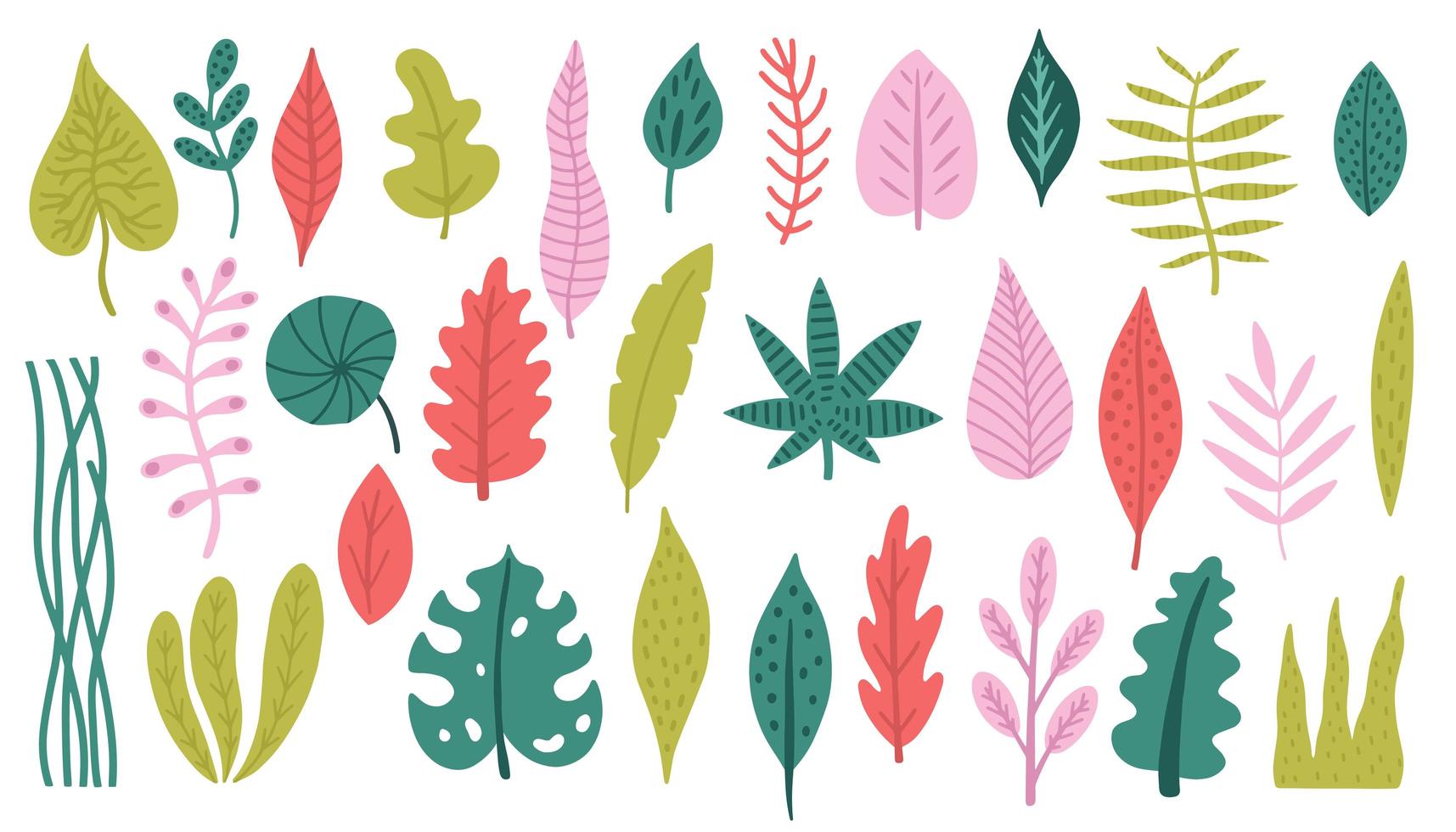 Set of colorful tropical plants and palm leaves vector