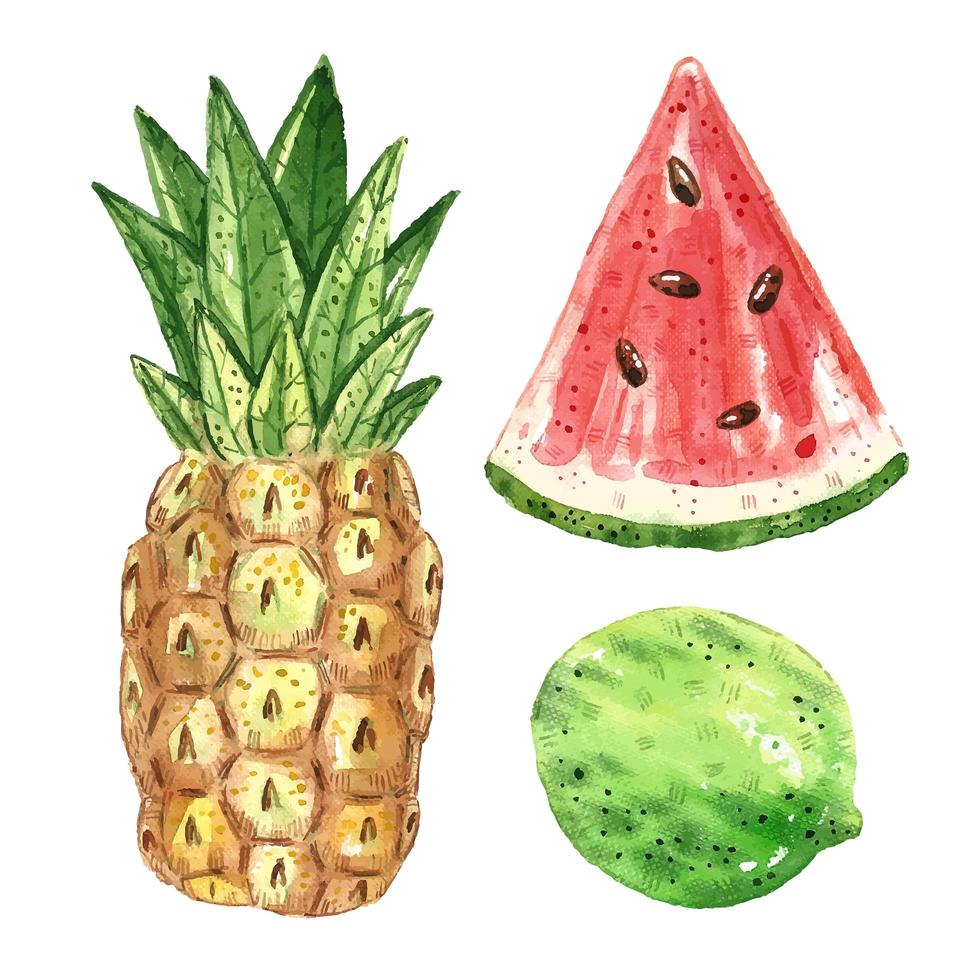 Tropical fruits cwatercolor set vector