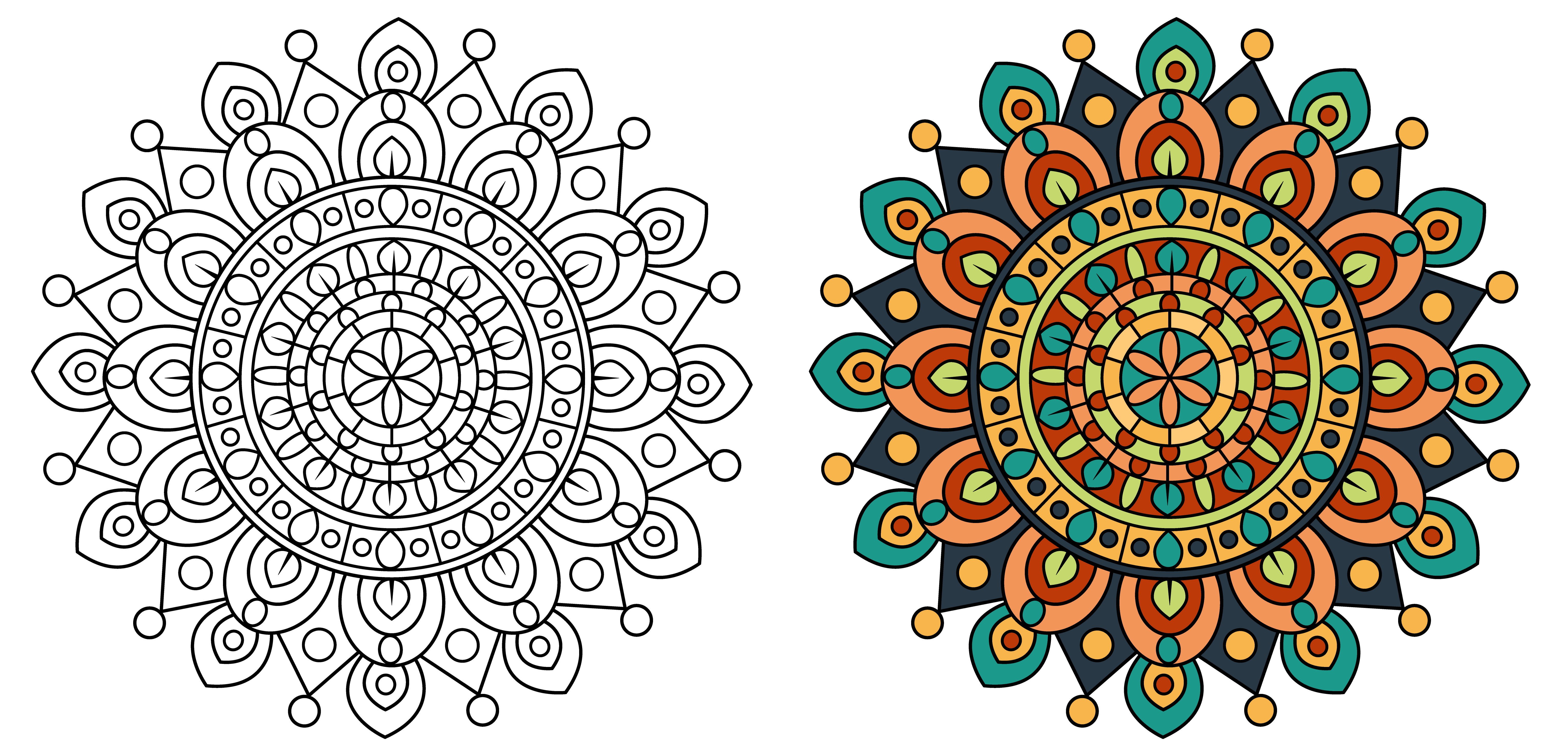 Download Mandala Design Coloring Page Template Outline 1229196 - Download Free Vectors, Clipart Graphics ...