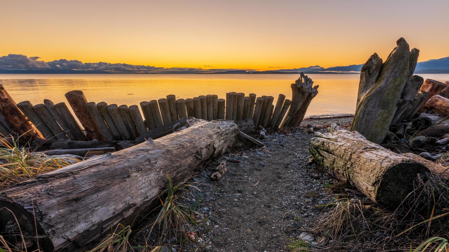 Brown wood logs on sandy beach photo