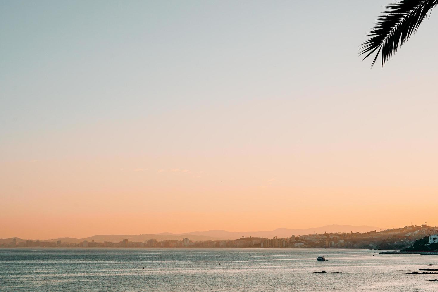 Silhouette of palm tree leaf and beach photo