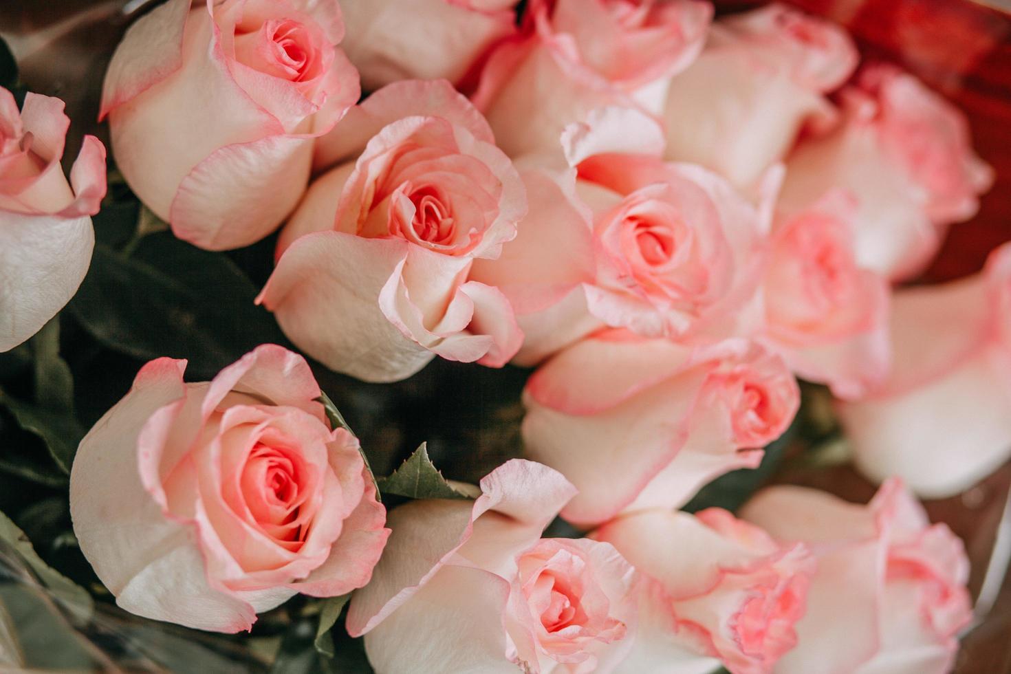 Pink rose bouquet photo