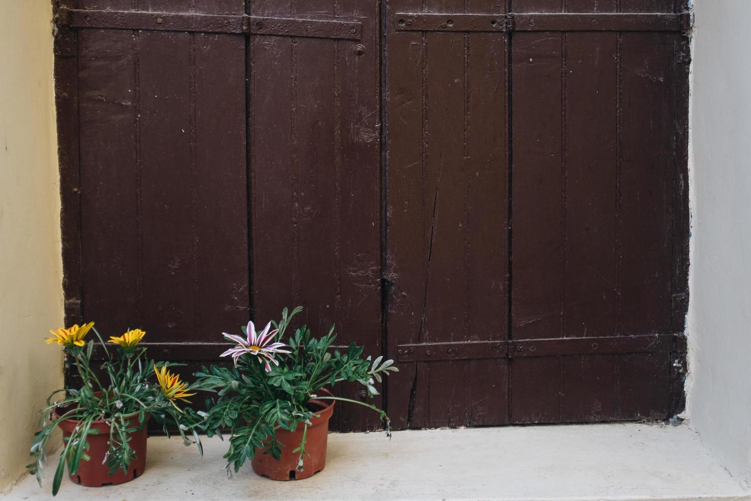 Brown wooden window photo