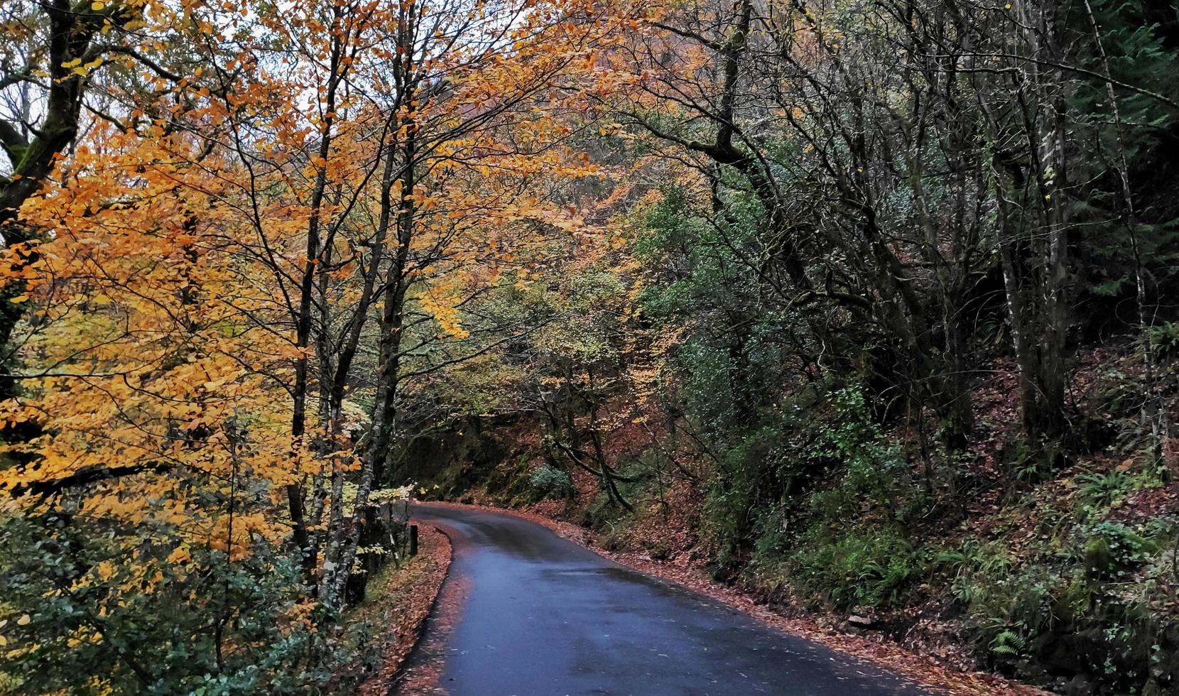 Black asphalt road  photo