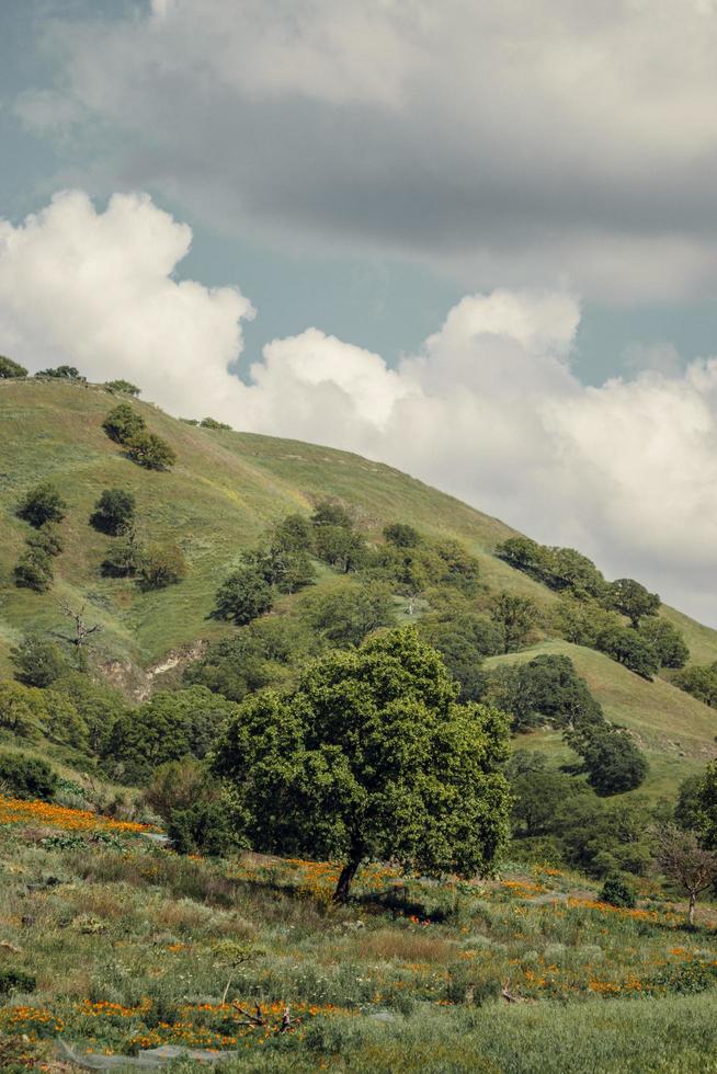 Green hills under blue clouds photo