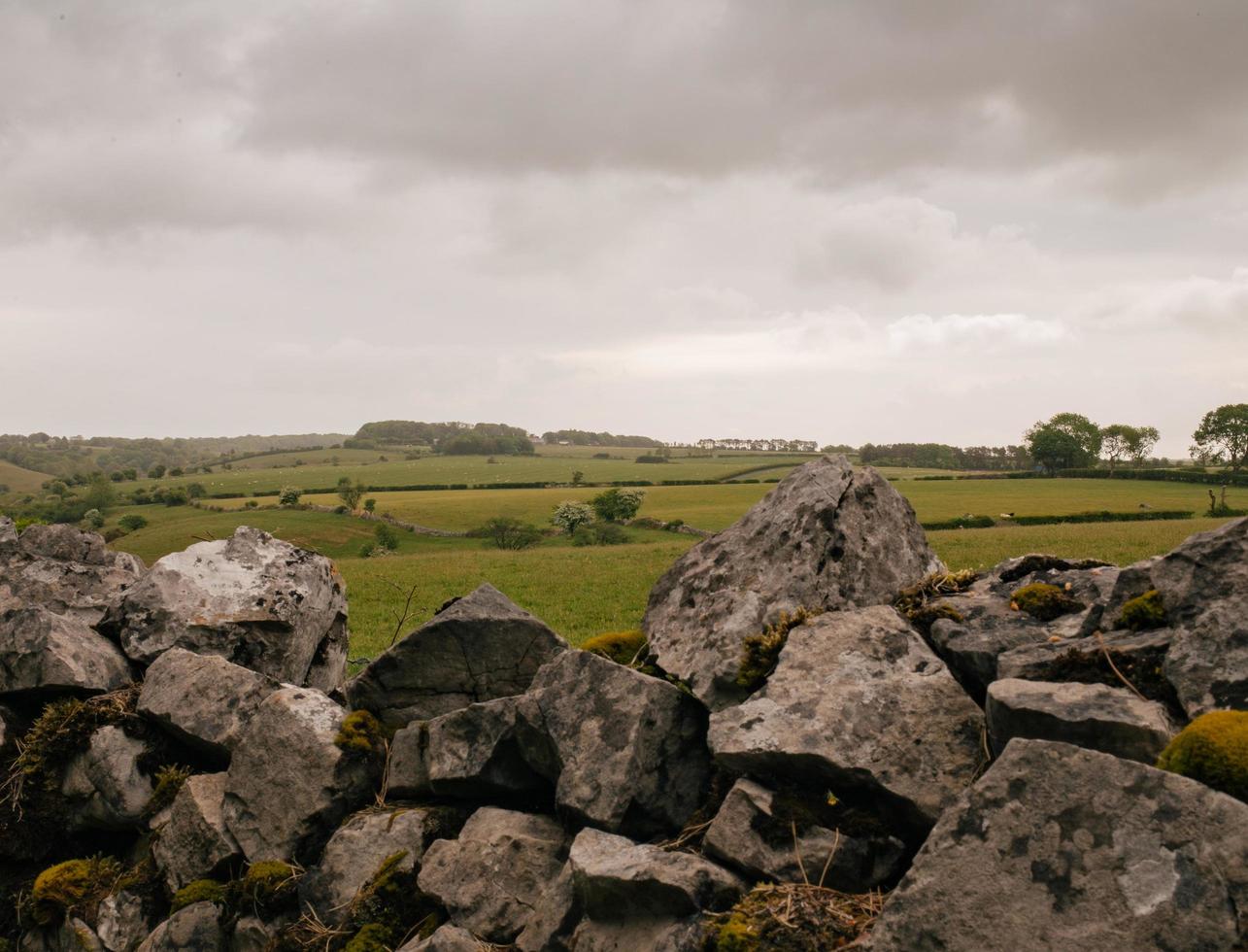 Gray rocks on green grass  photo