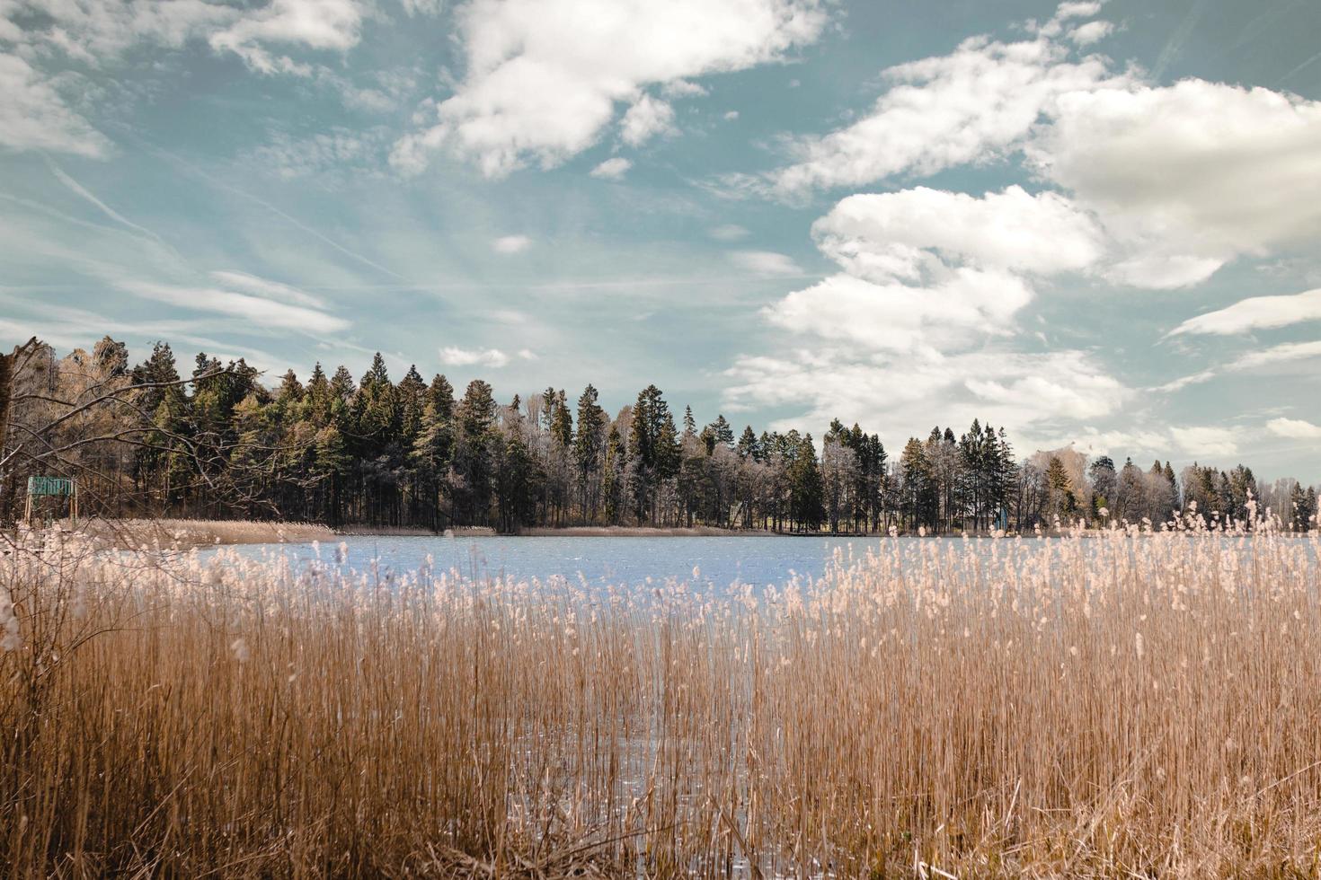 Lake under cloudy sky photo