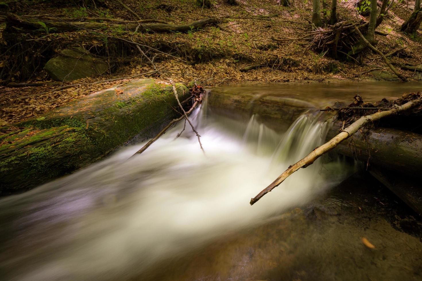 Waterfall in the forest  photo
