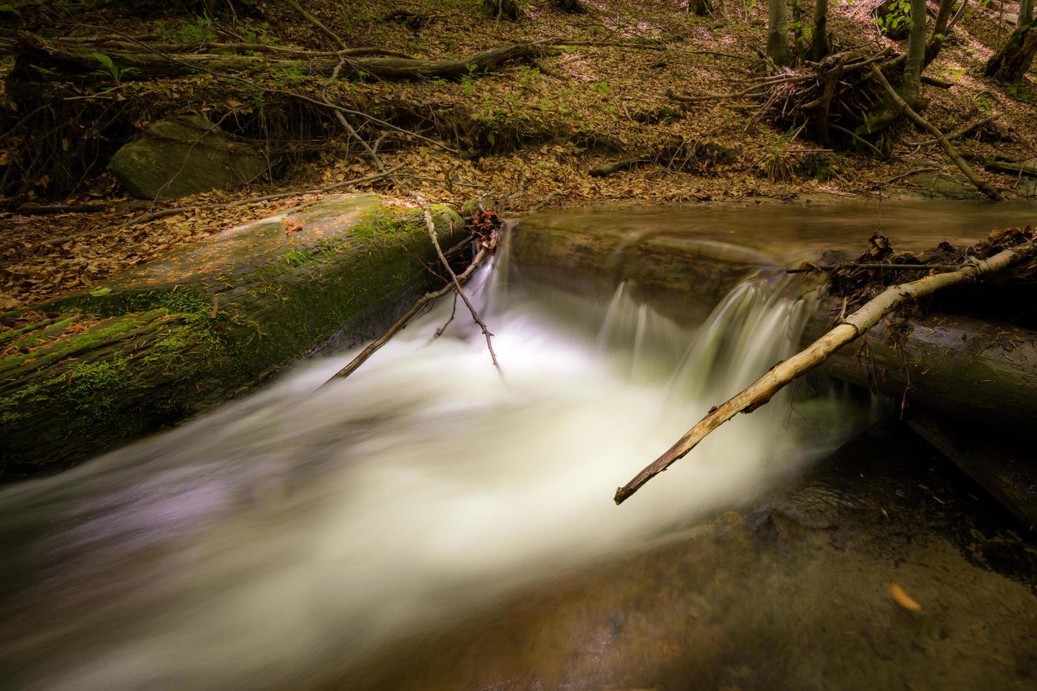 cascada en el bosque foto