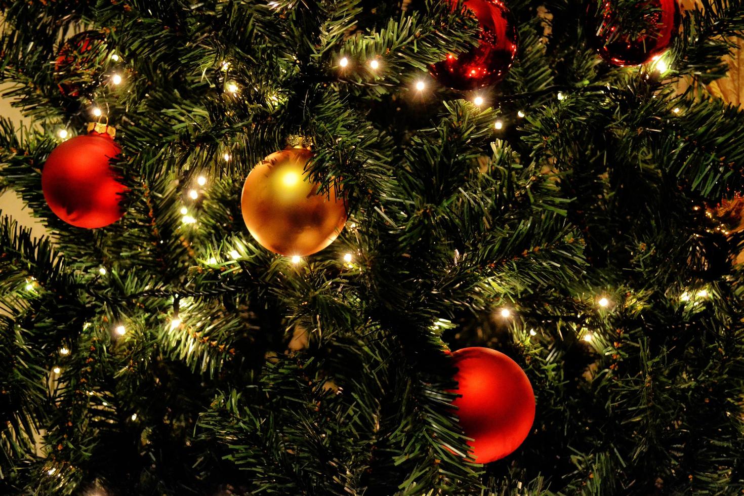 bombillas rojas y doradas en el árbol de navidad foto