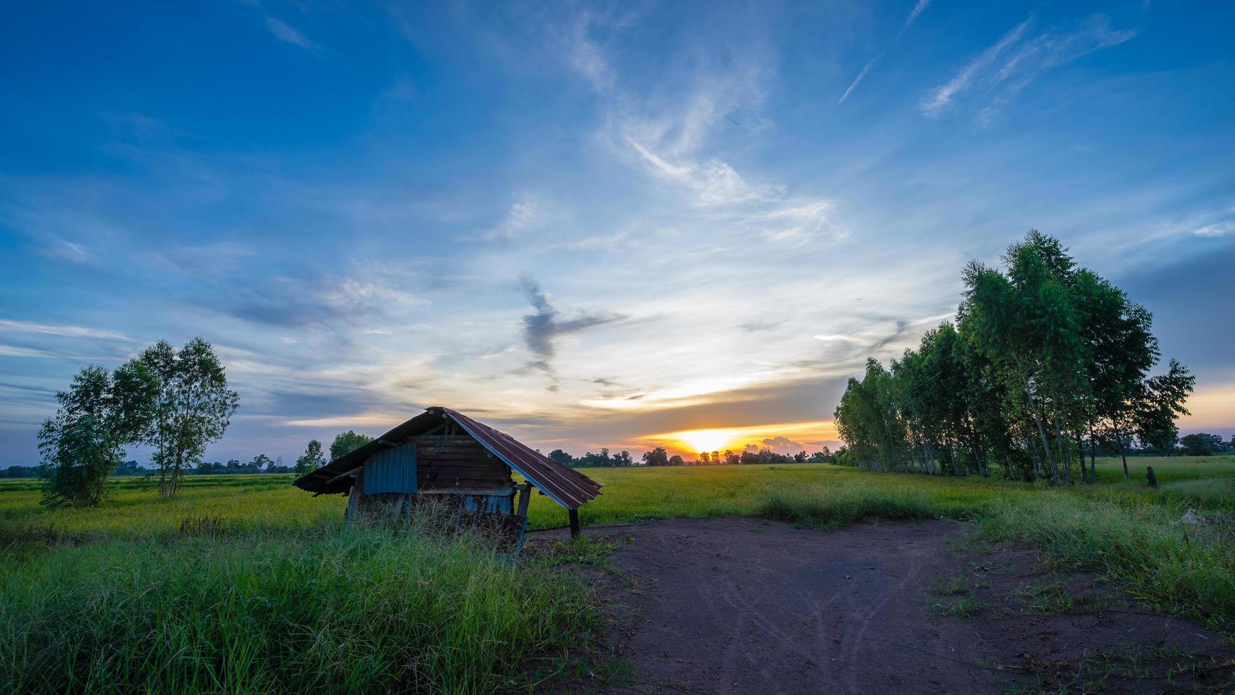 cabaña en los campos de arroz verde con puesta de sol foto