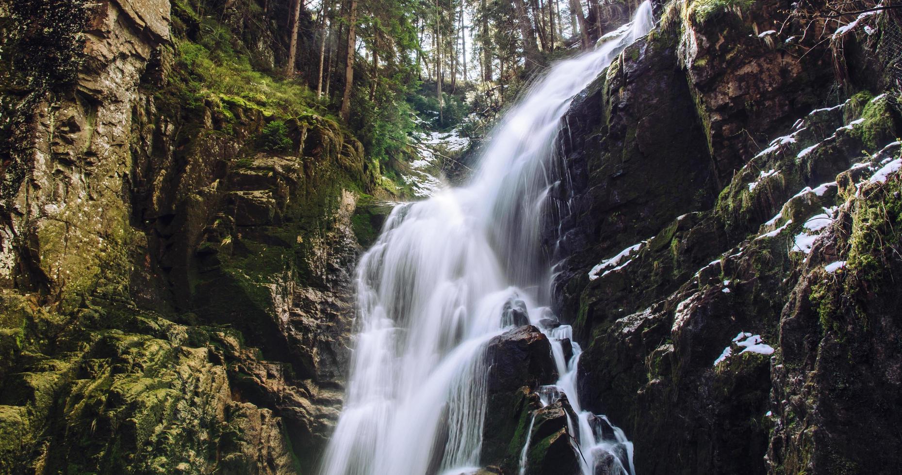 Long-exposure of waterfall in forest photo
