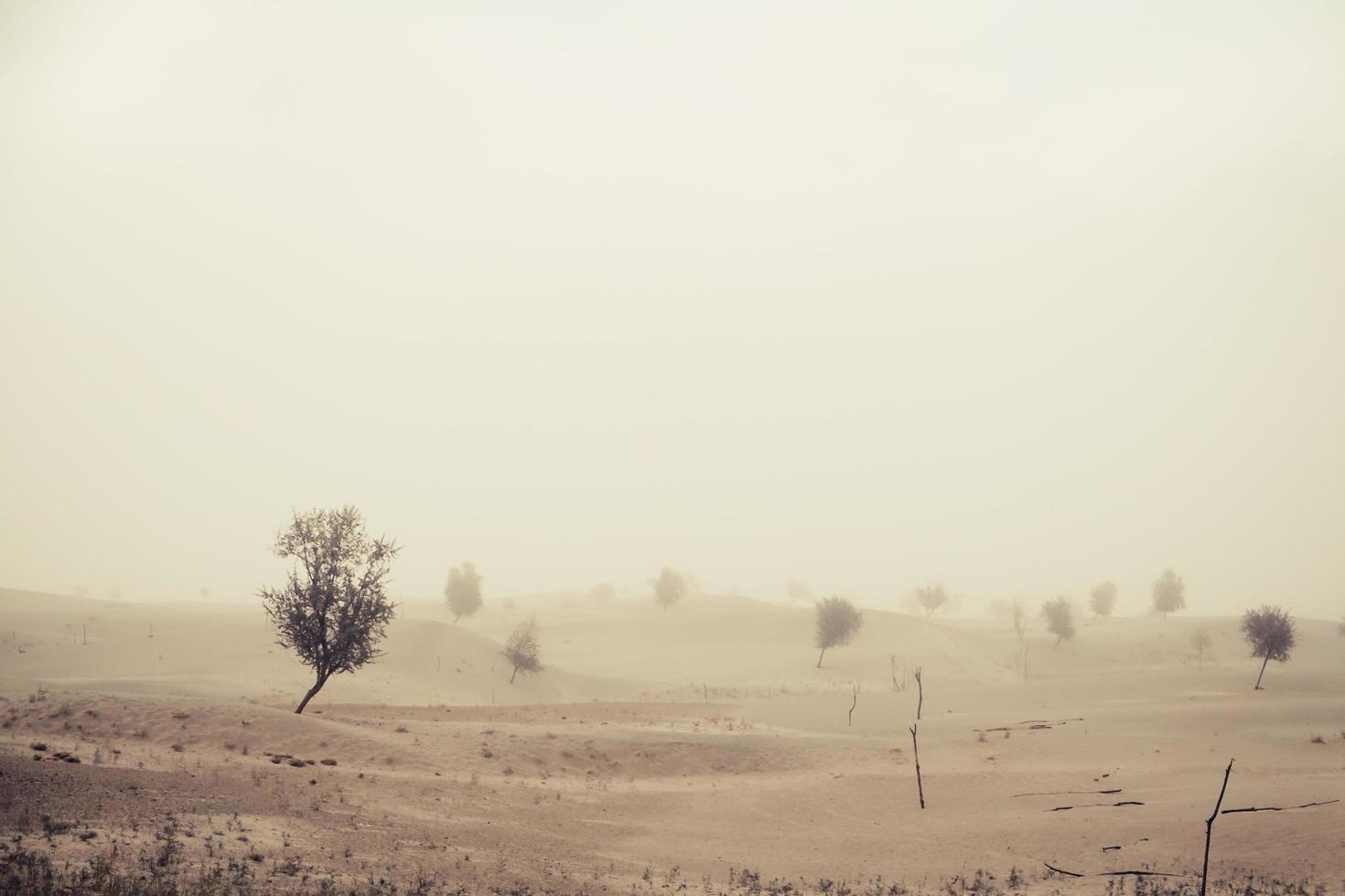 viento antes de la tormenta de arena en el desierto foto