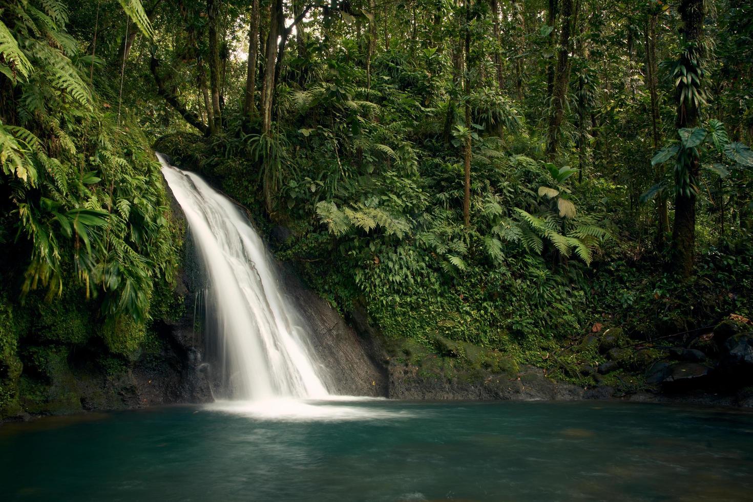 Waterfall in middle of green trees photo