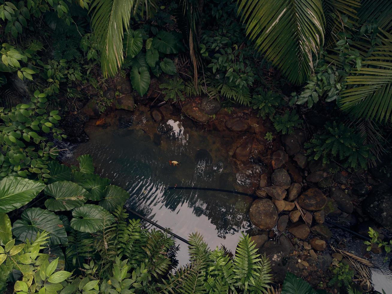 Water puddle surrounded by rocks and leaves photo