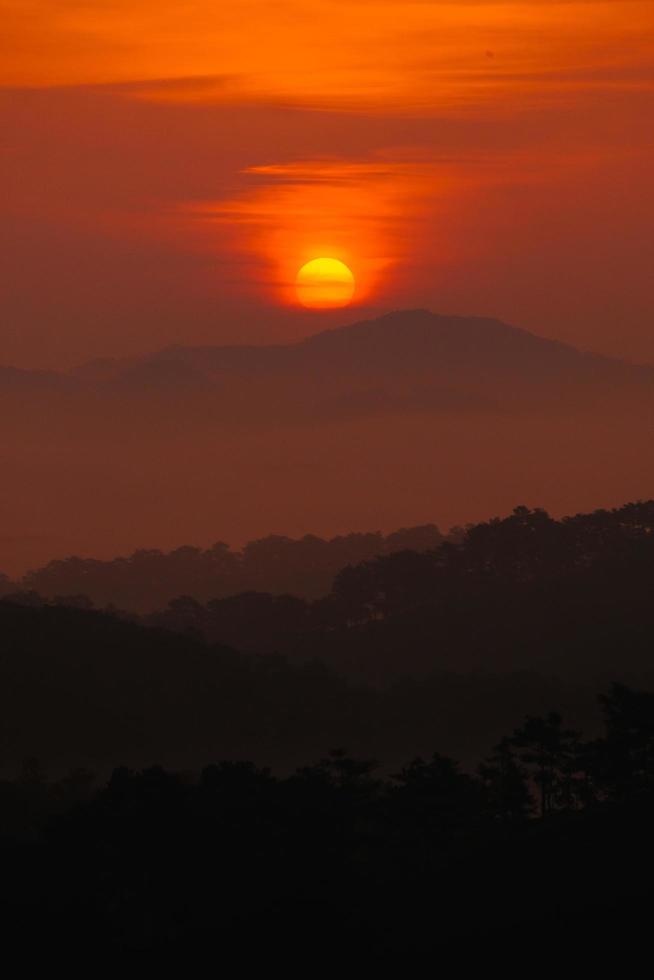 Trees and hills silhouetted at sunset photo