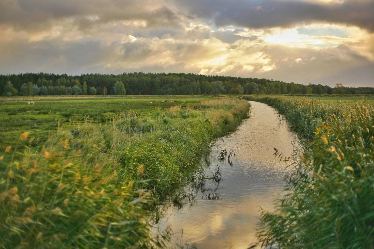 Green grassy field with stream photo