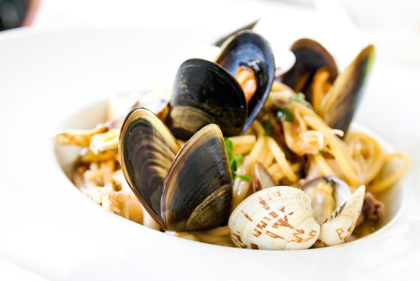 Close-up of clam dish photo