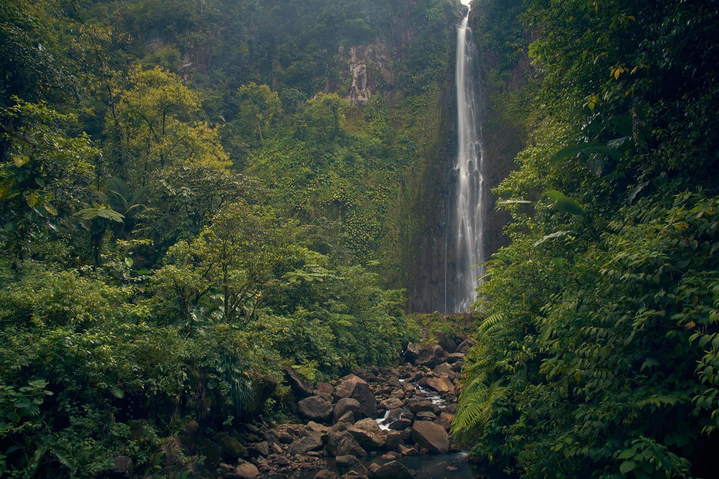 Waterfall in the forest photo