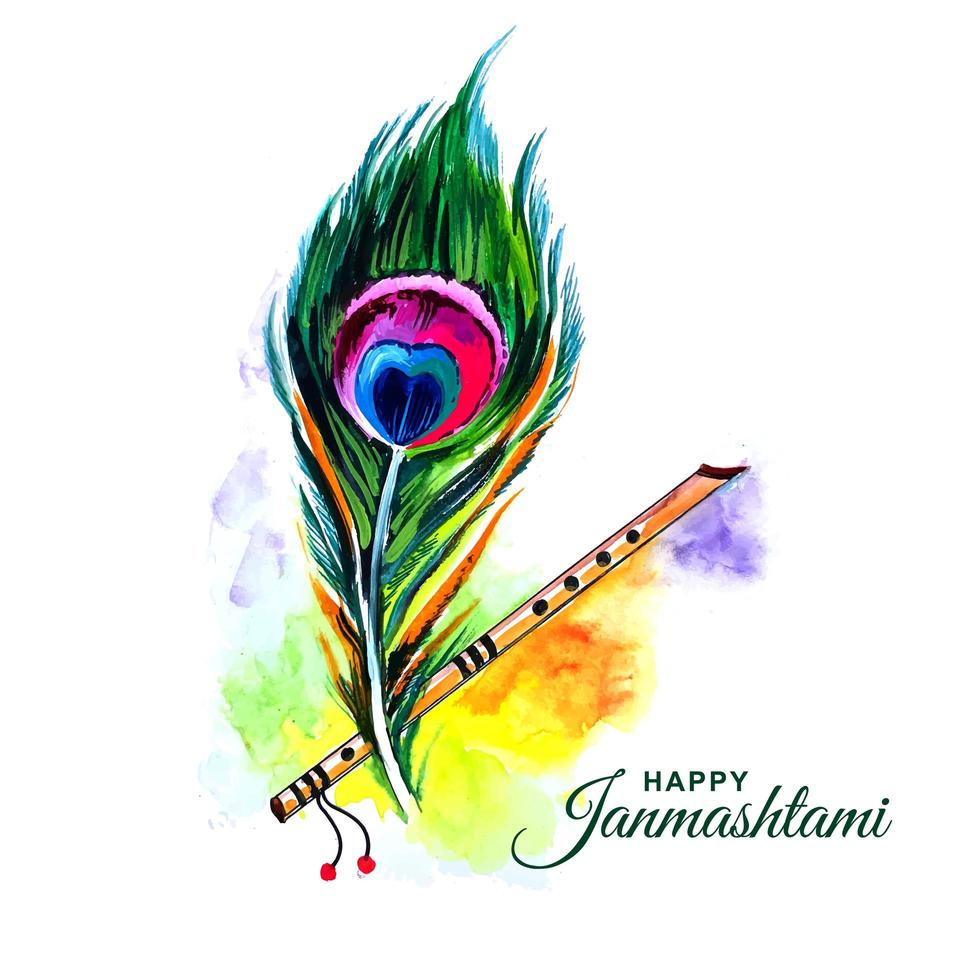 Peacock feather for shree krishna janmashtami card design vector