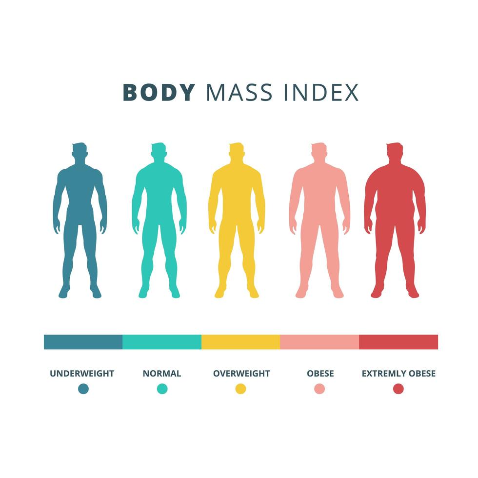 tabla de colores del índice de masa corporal vector