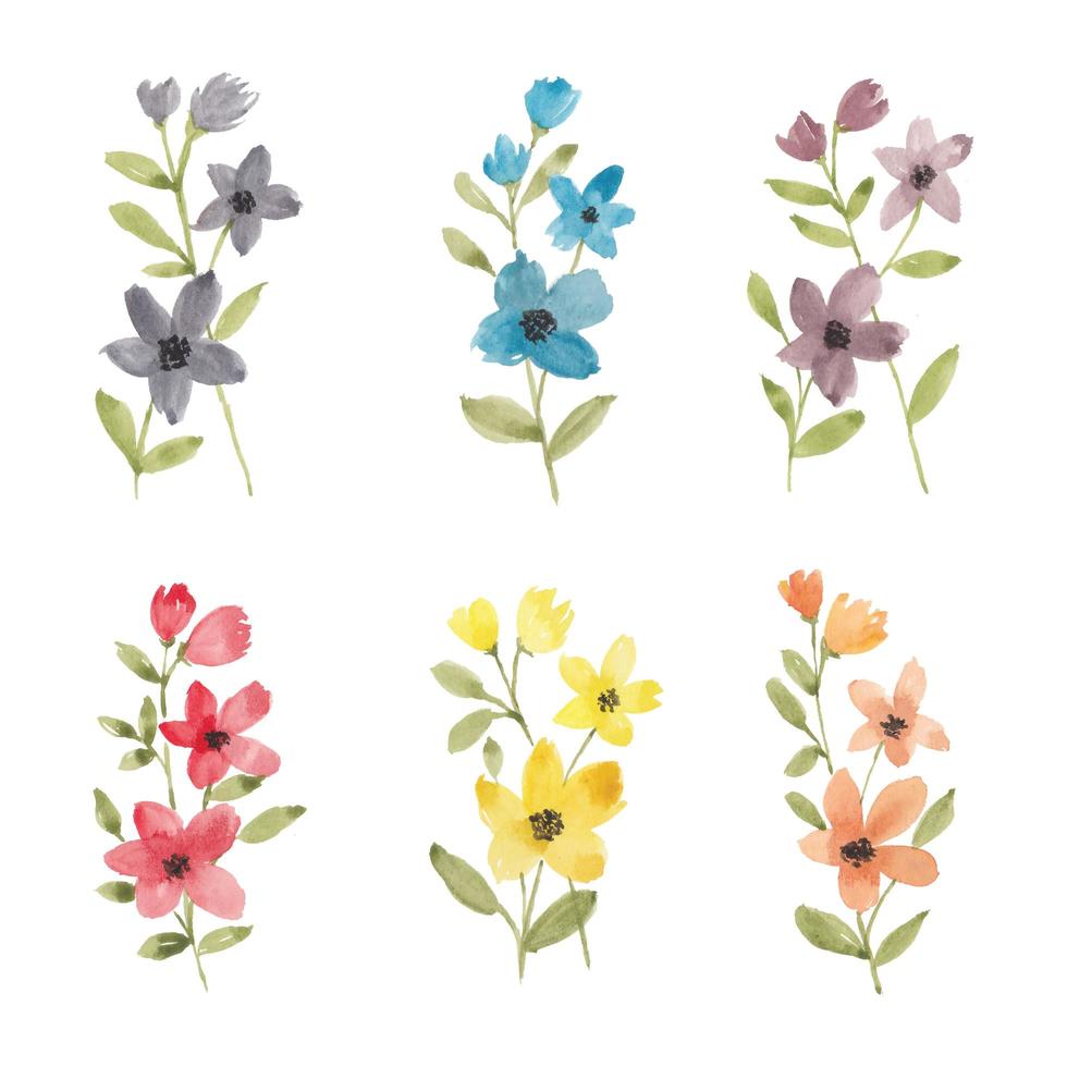 Colorful wildflower watercolor collection vector