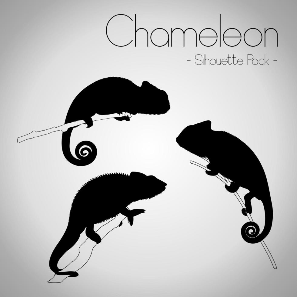 Chameleon Silhouette Package vector