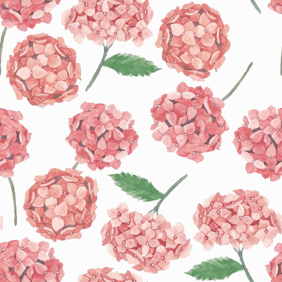 Pink hydrangea flower watercolor pattern vector