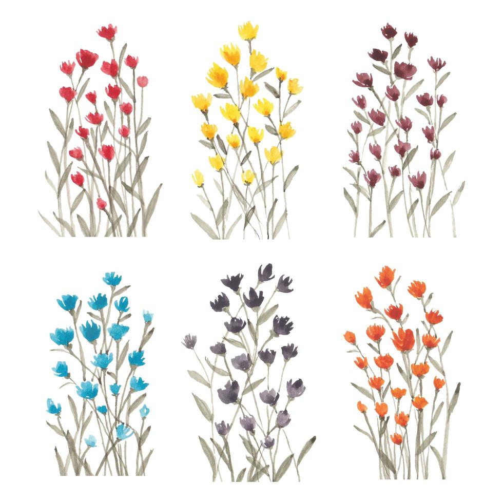 Wildflower watercolor set vector