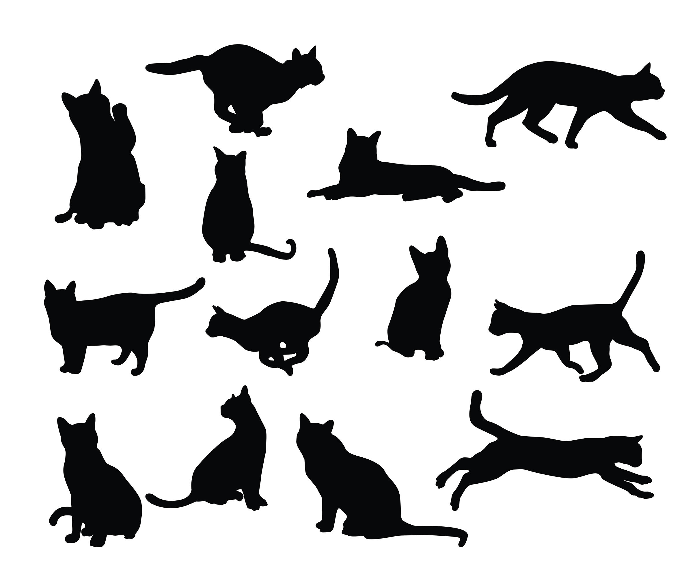 Download Black cat silhouette set - Download Free Vectors, Clipart ...