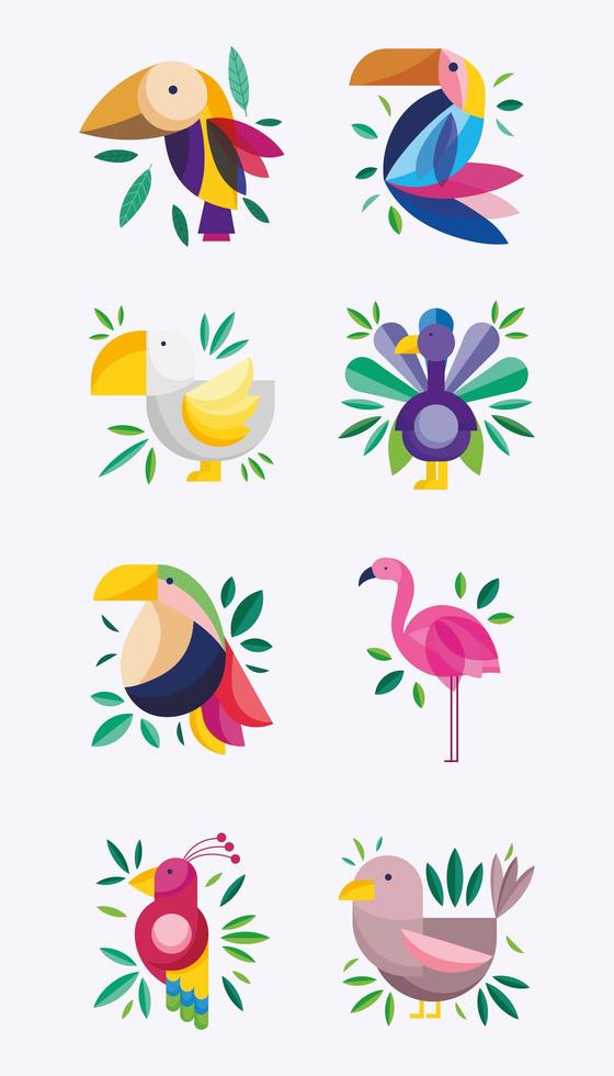 Exotic colorful birds set vector