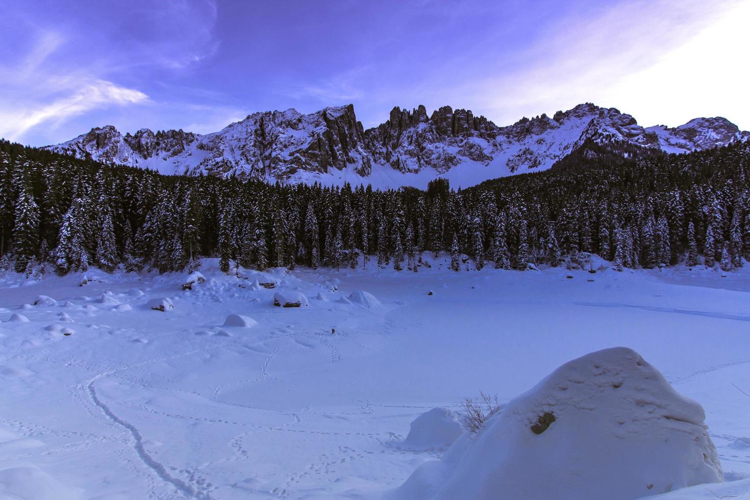 Trees and snow-capped mountain photo