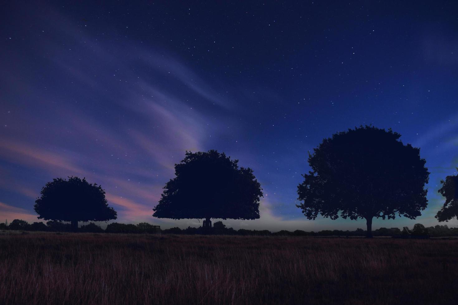 Silhouette of trees against starry blue sky photo