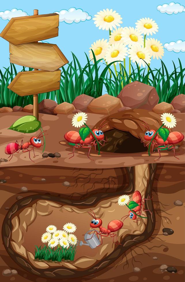Scene with ants and flowers in garden vector