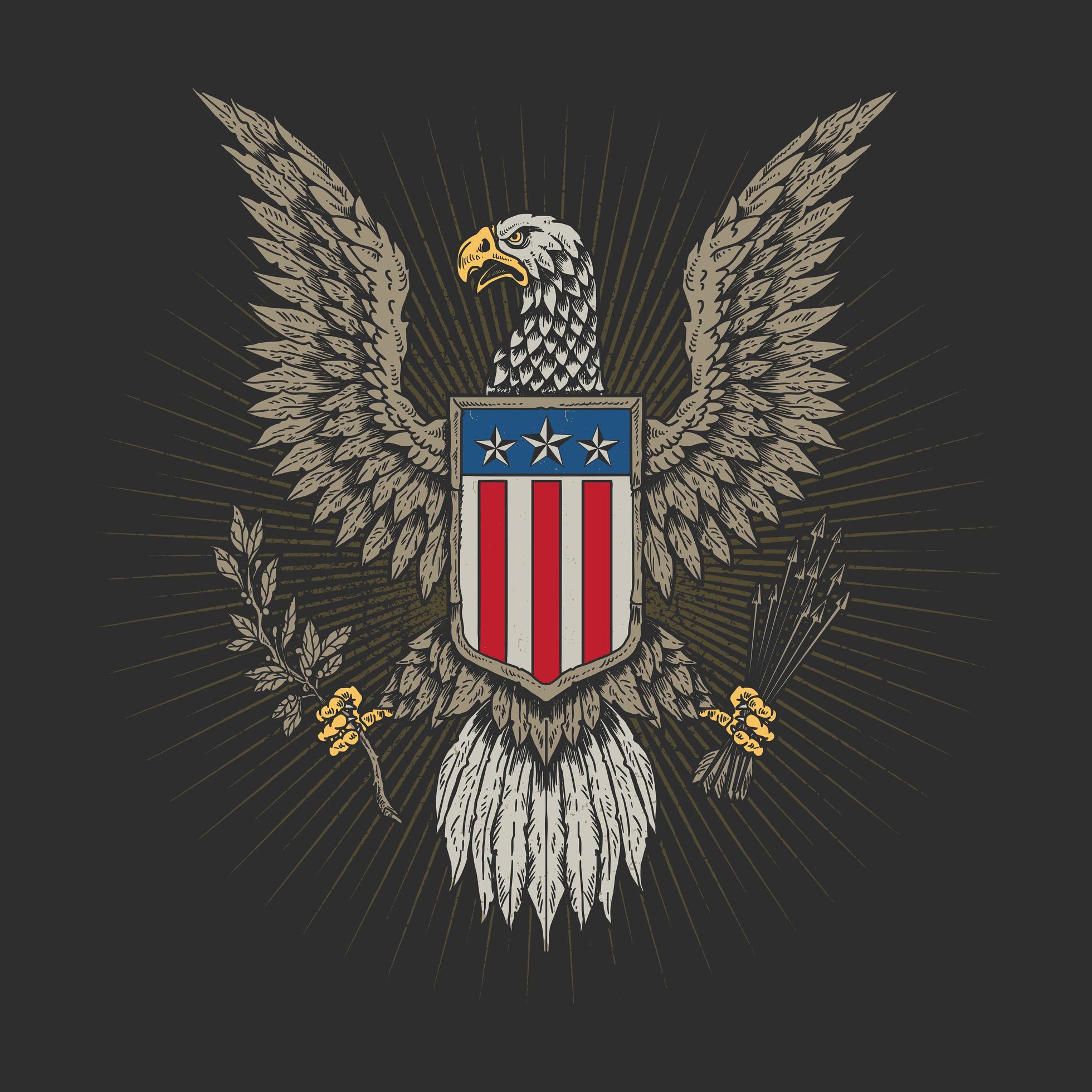 American eagle veteran emblem 1234967 Vector Art at Vecteezy